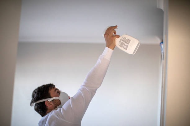 Mold Testing and Removal in New Market, TN