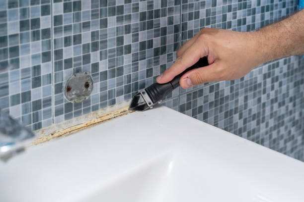 Best Best Mold Removal Companies  in New Market, TN